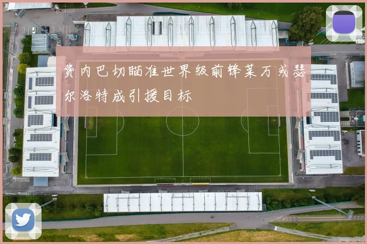 费内巴切瞄准世界级前锋莱万或瑟尔洛特成引援目标
