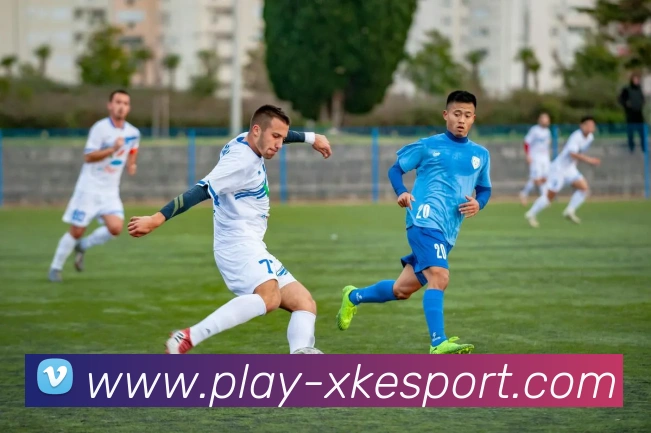 星空电竞平台生态图