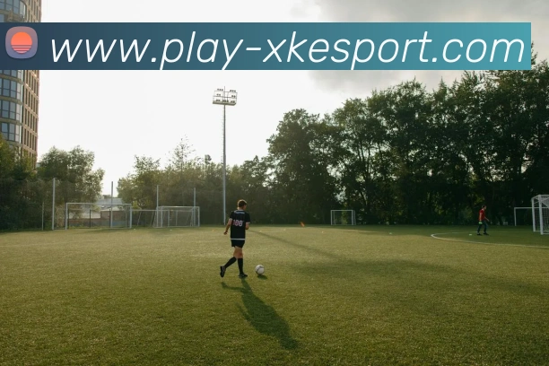 数据防护可视化